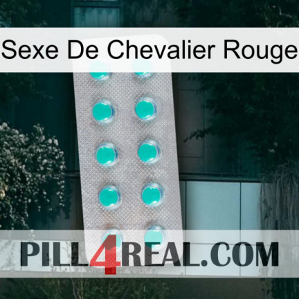 Red Knight Sex 28